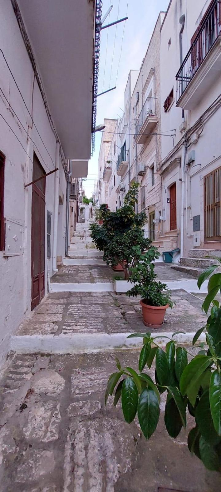 Vico Anglani Guest House Ostuni Bagian luar foto